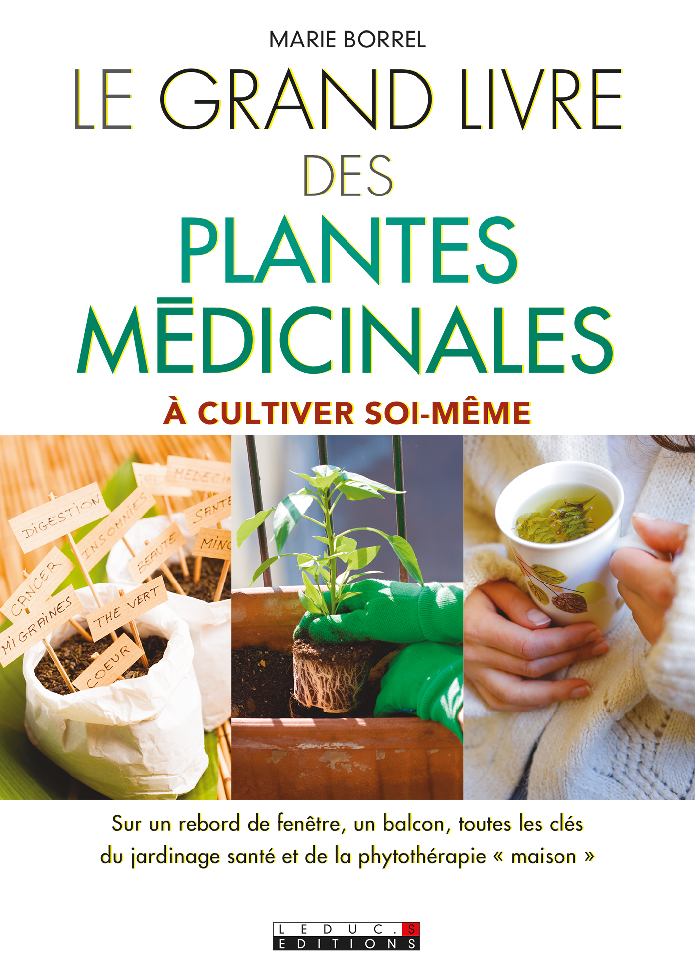 Le grand livre des plantes médicinales  À cultiver soimême  sur un