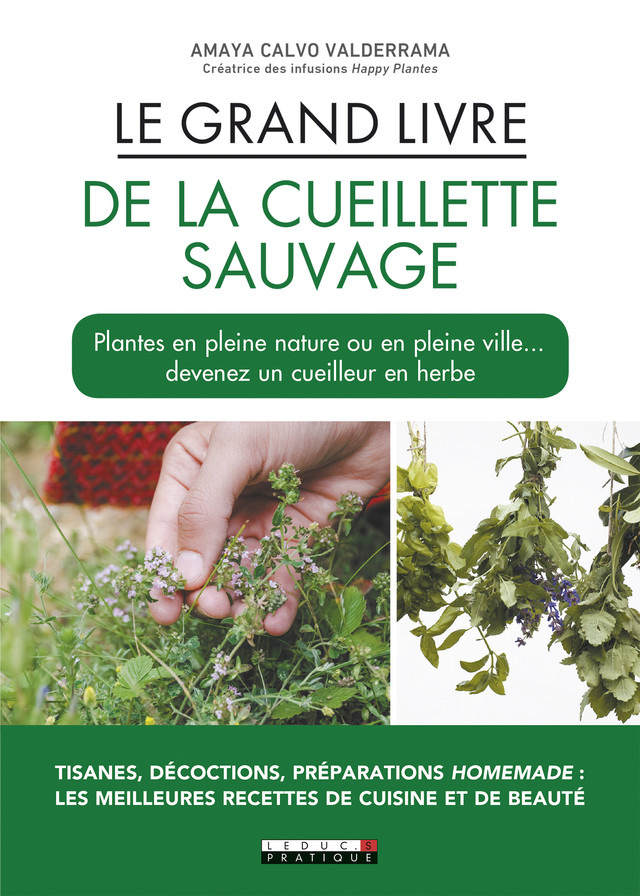 La cueillette sauvage mode d'emploi, c'est malin - Amaya Calvo Valderrama - Éditions Leduc