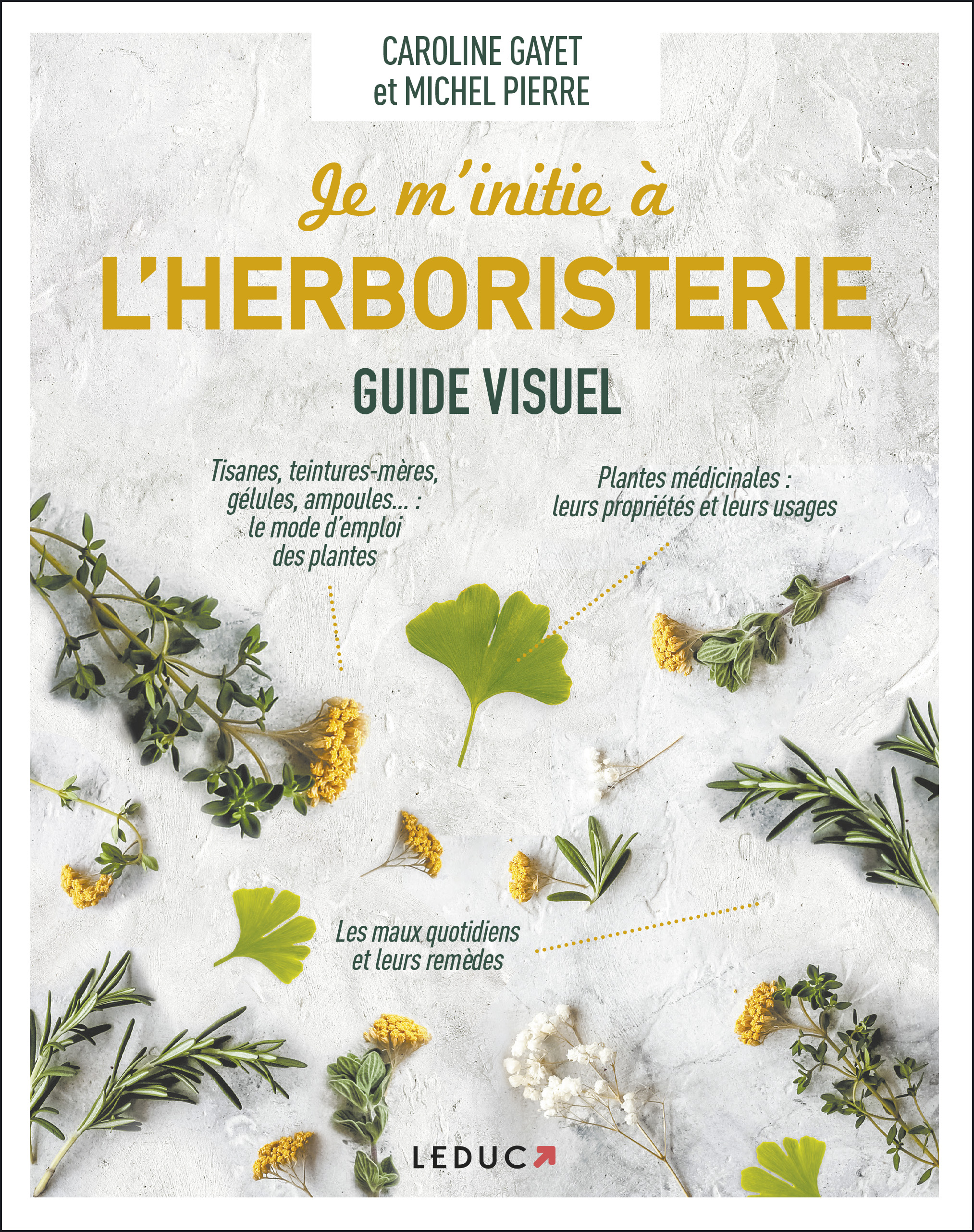 Le Livre De L'ayurveda Le Guide Personnel Du Bien-être
