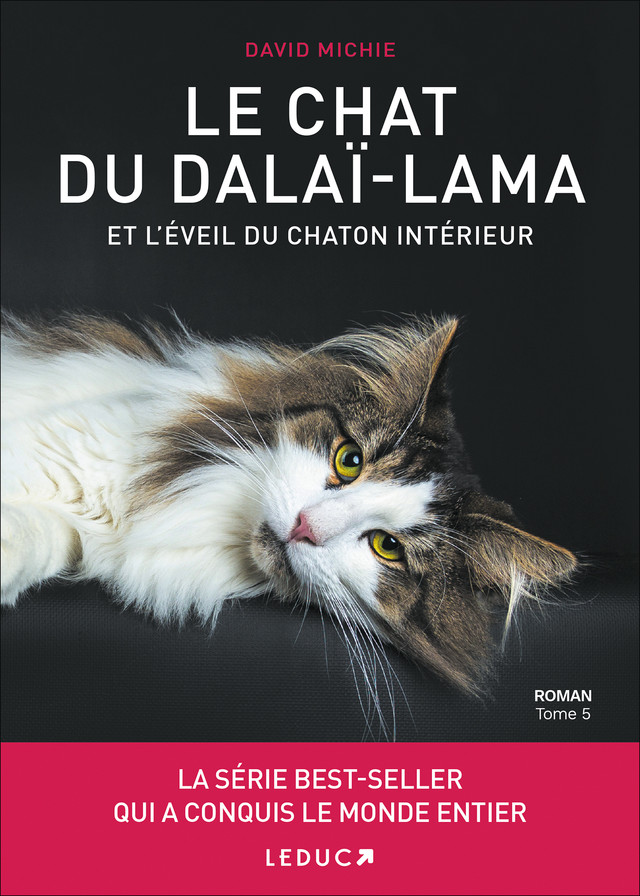 Le Chat du Dalai-Lama et l'éveil du chaton intérieur - David Michie - Éditions Leduc