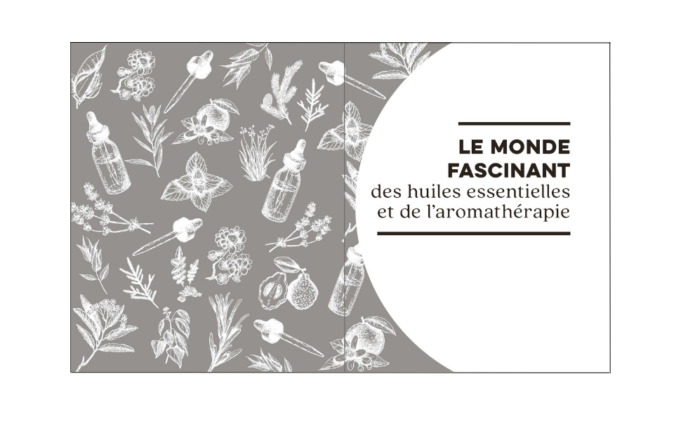 Ma bible des huiles essentielles - - Danièle Festy, Anne Dufour (EAN13